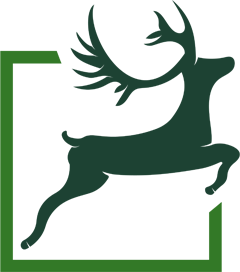 مرکز نوآوری جیران